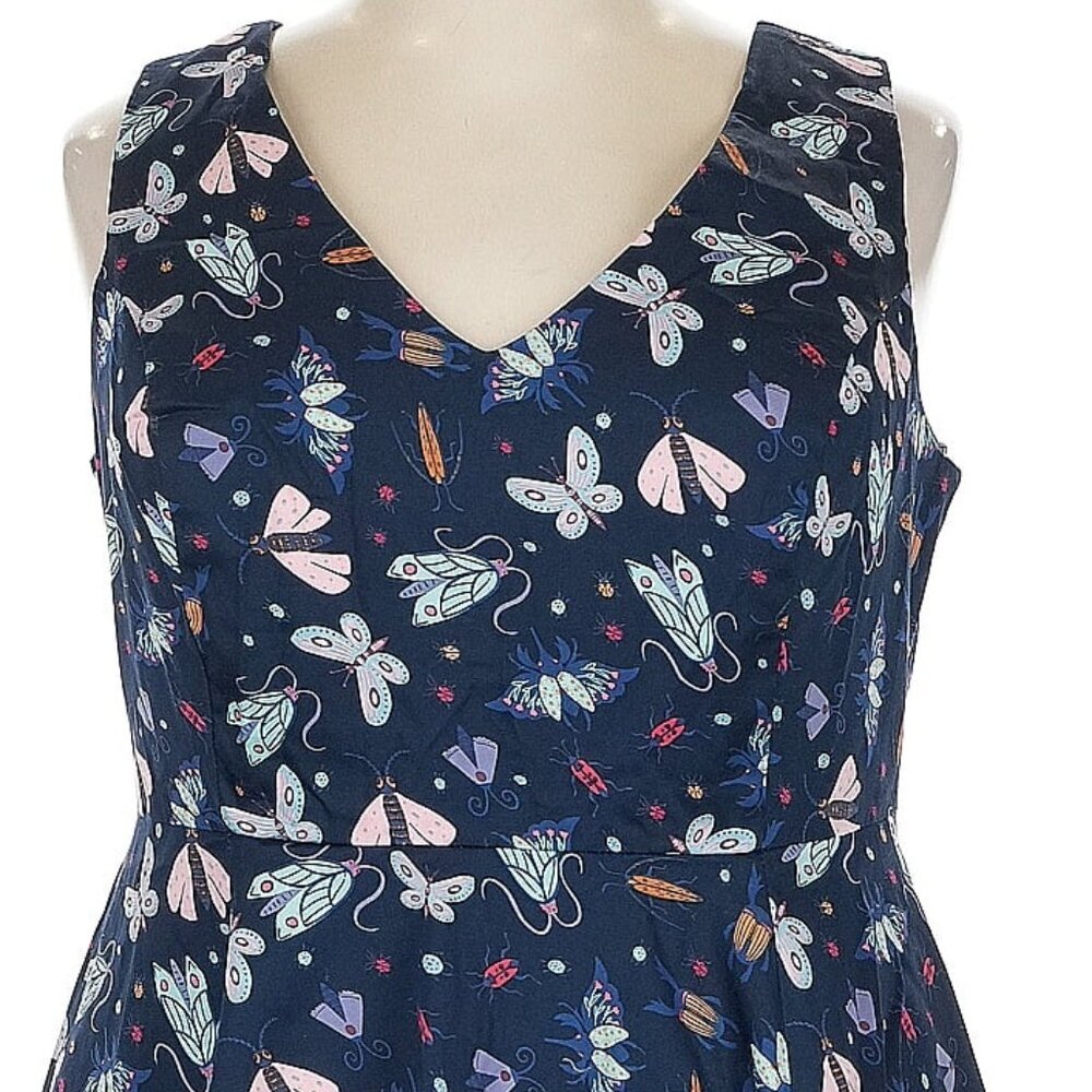 NWT Eva Rose Moth Print Dress